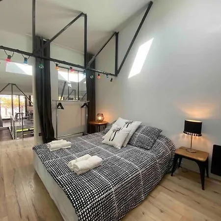 Rare ! Loft Atypique Centre-ville Parking Jardin Ferienhaus Reims