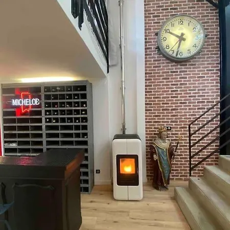 Rare ! Loft Atypique Centre-ville Parking Jardin Reims