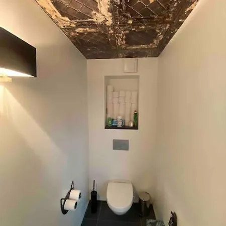 Rare ! Loft Atypique Centre-ville Parking Jardin Reims